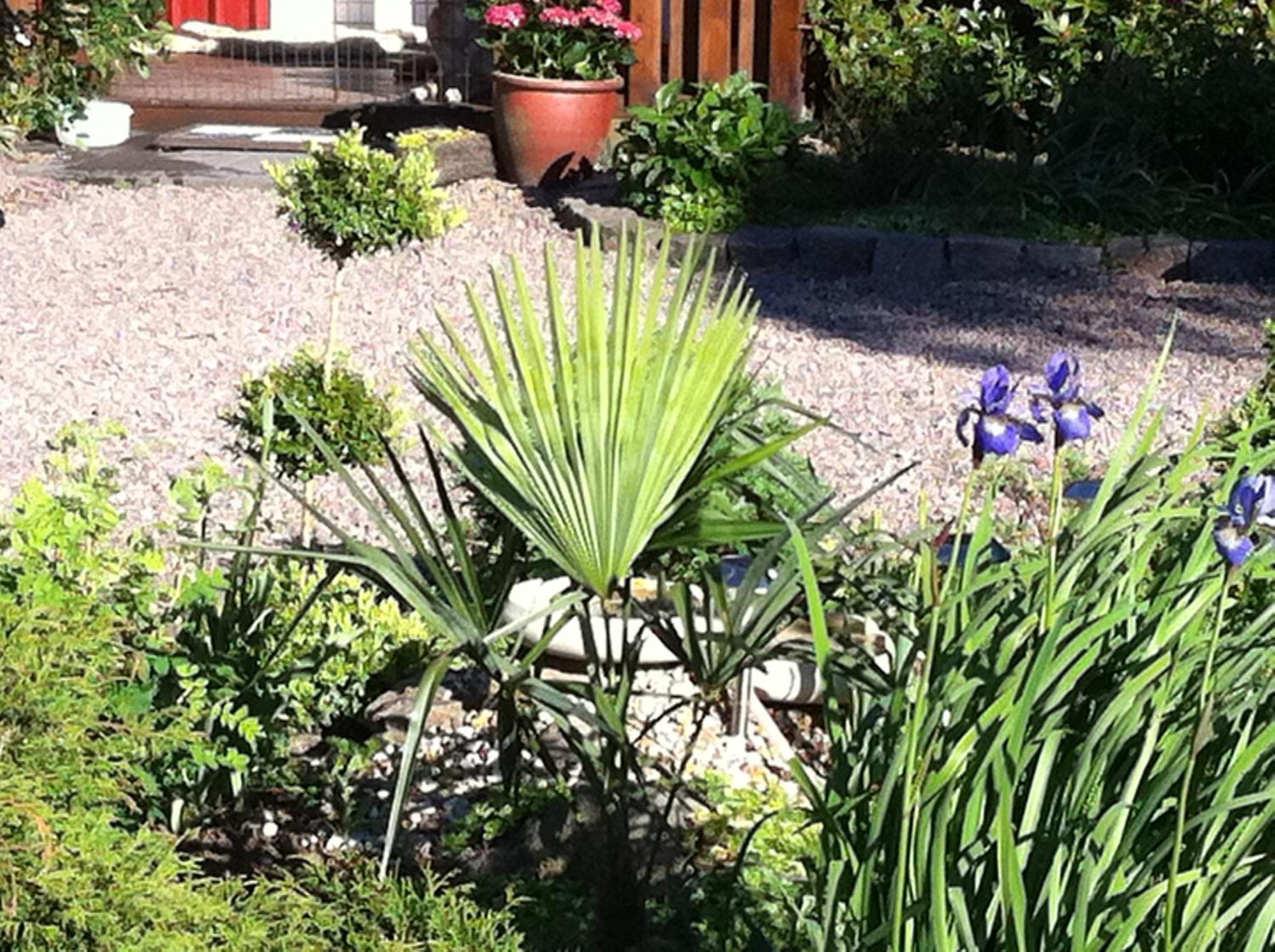 Mattisgarden Bed & Breakfast Ostra Ljungby Bagian luar foto