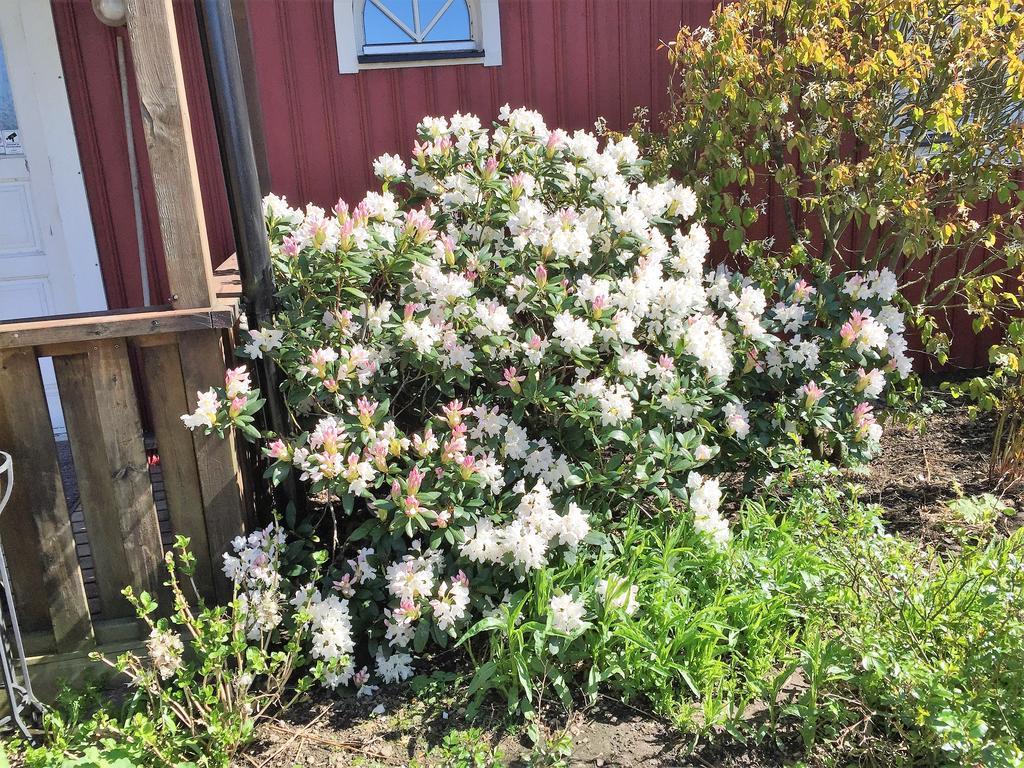 Mattisgarden Bed & Breakfast Ostra Ljungby Bagian luar foto